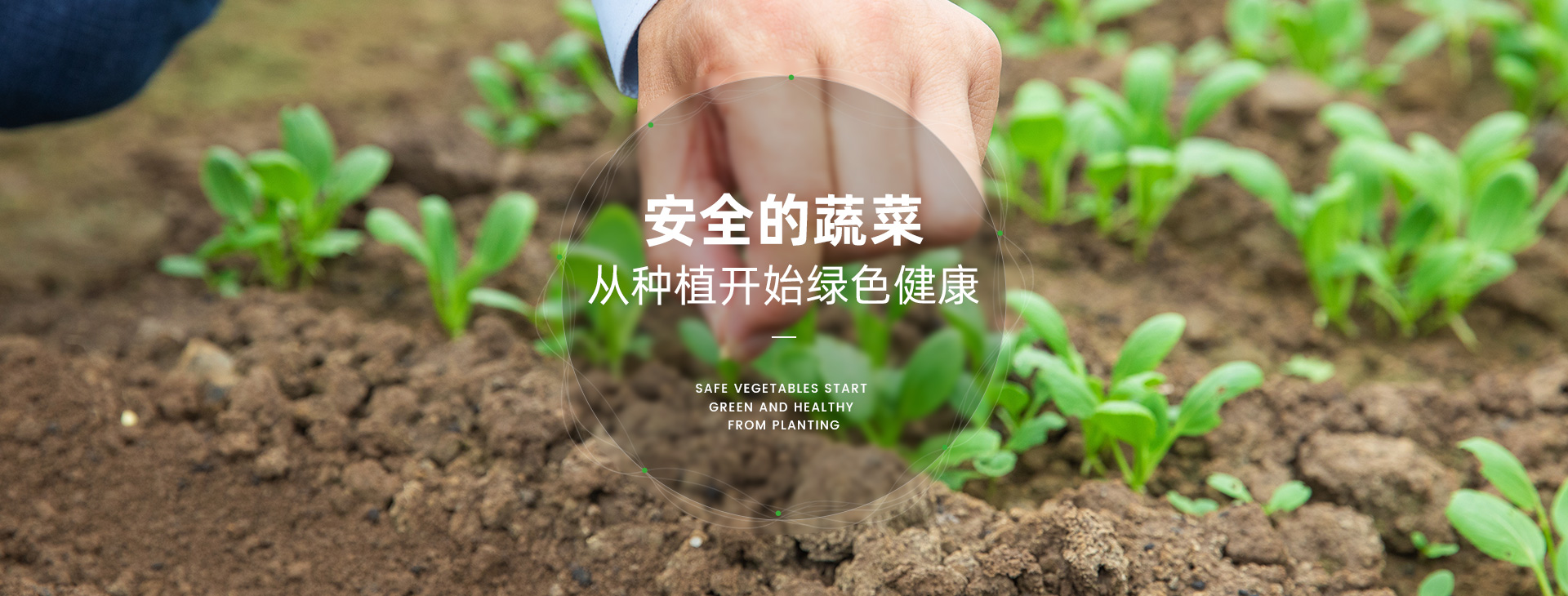 嘉興市知識產(chǎn)權(quán)協(xié)會會員單位