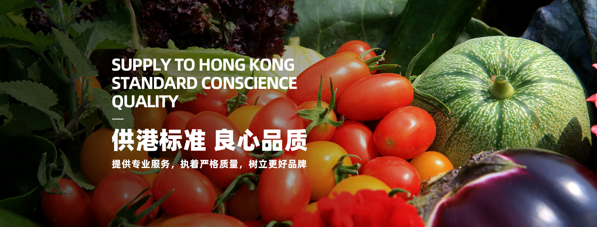 數(shù)字經(jīng)濟(jì)發(fā)展示范企業(yè)